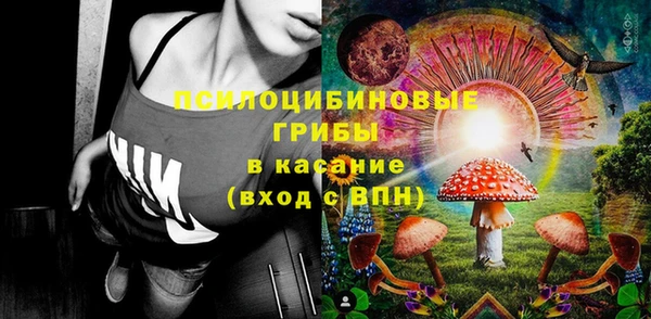 спайс Дмитриев