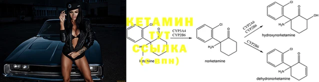 спайс Дмитриев