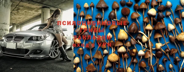 молекула духа Дмитровск