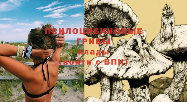 спайс Дмитриев