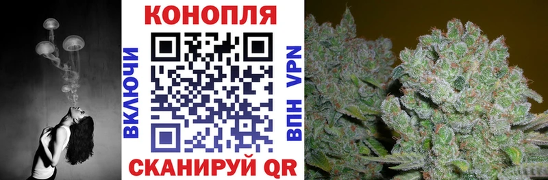 OMG   Батайск  Каннабис LSD WEED 